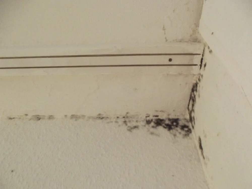 Technician in protective gear removing a mold-damaged wall in a Folcroft home